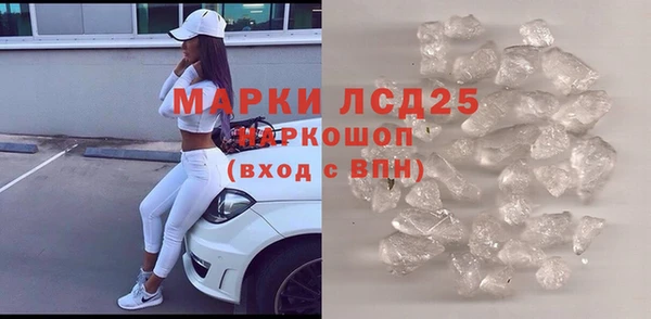 стаф Осинники