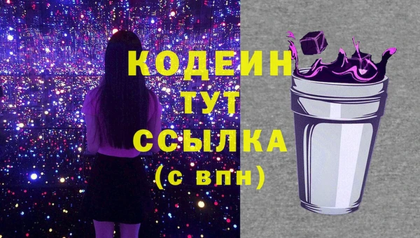 стаф Осинники