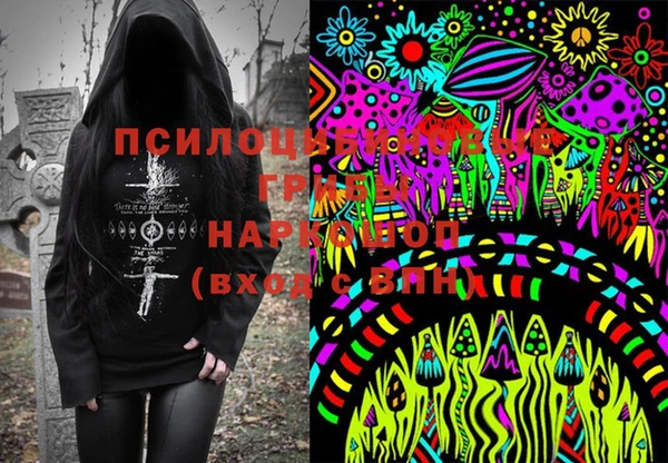стаф Осинники