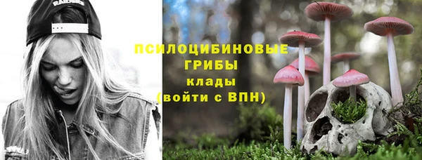 PSILOCYBIN Переславль-Залесский