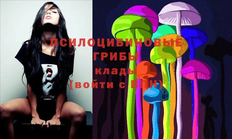 Галлюциногенные грибы Psilocybine cubensis  Ялуторовск 