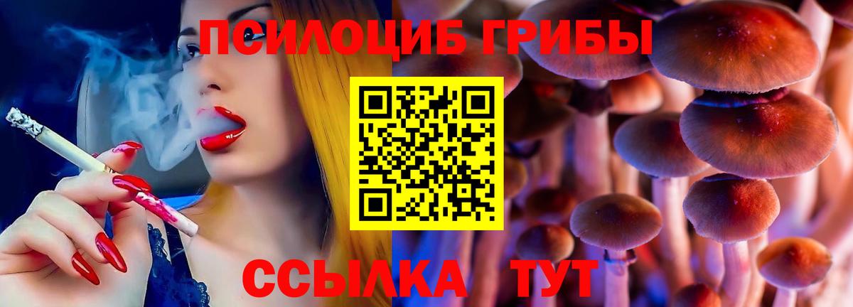 Ялуторовск  наркота  Вход с VPN  Галлюциногенные грибы мухоморы 